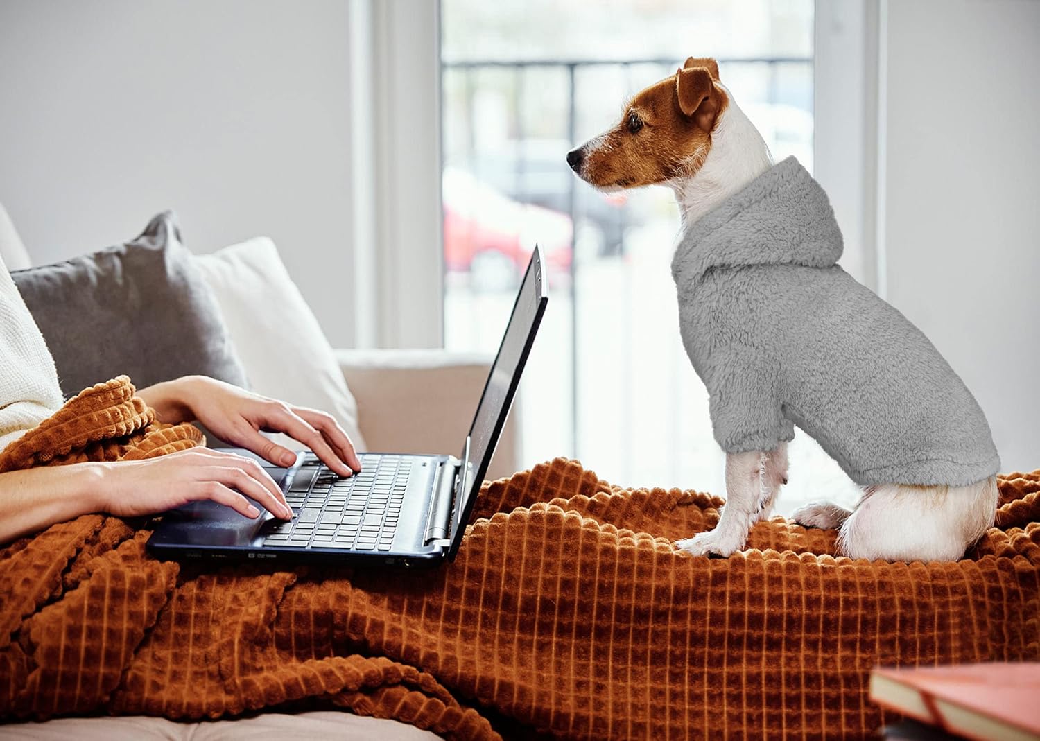 Fuzzy Dog Sweaters for Small Dogs Dog Hoodie Pet Clothes Warm Soft Cozy Coats Hooded Sweatshirt Fleece Small Pet Hoodies Sweater(Grey-XS)