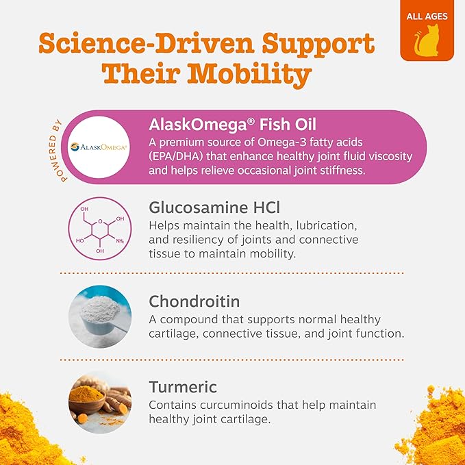 Zesty Paws Hip & Joint Bites for Cats - Glucosamine for Cats - with Chondroitin, Turmeric - Cat Joint Supplement for Hip & Joints - AlaskOmega Fish Oil with Omega-3 Fatty Acids - 60 Count