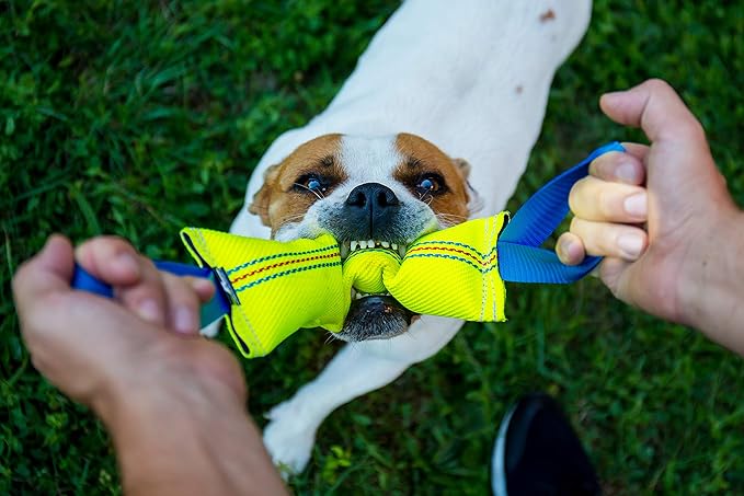 Dog Bite Tug Toy with 2 Strong Handles (2-Pack) - Tough, Durable Fire Hose Dog Tugs for Medium to Large Dogs - Ideal for Tug of War, Fetch, Puppy Training & Fun Interactive Play - Handmade Pull Toys