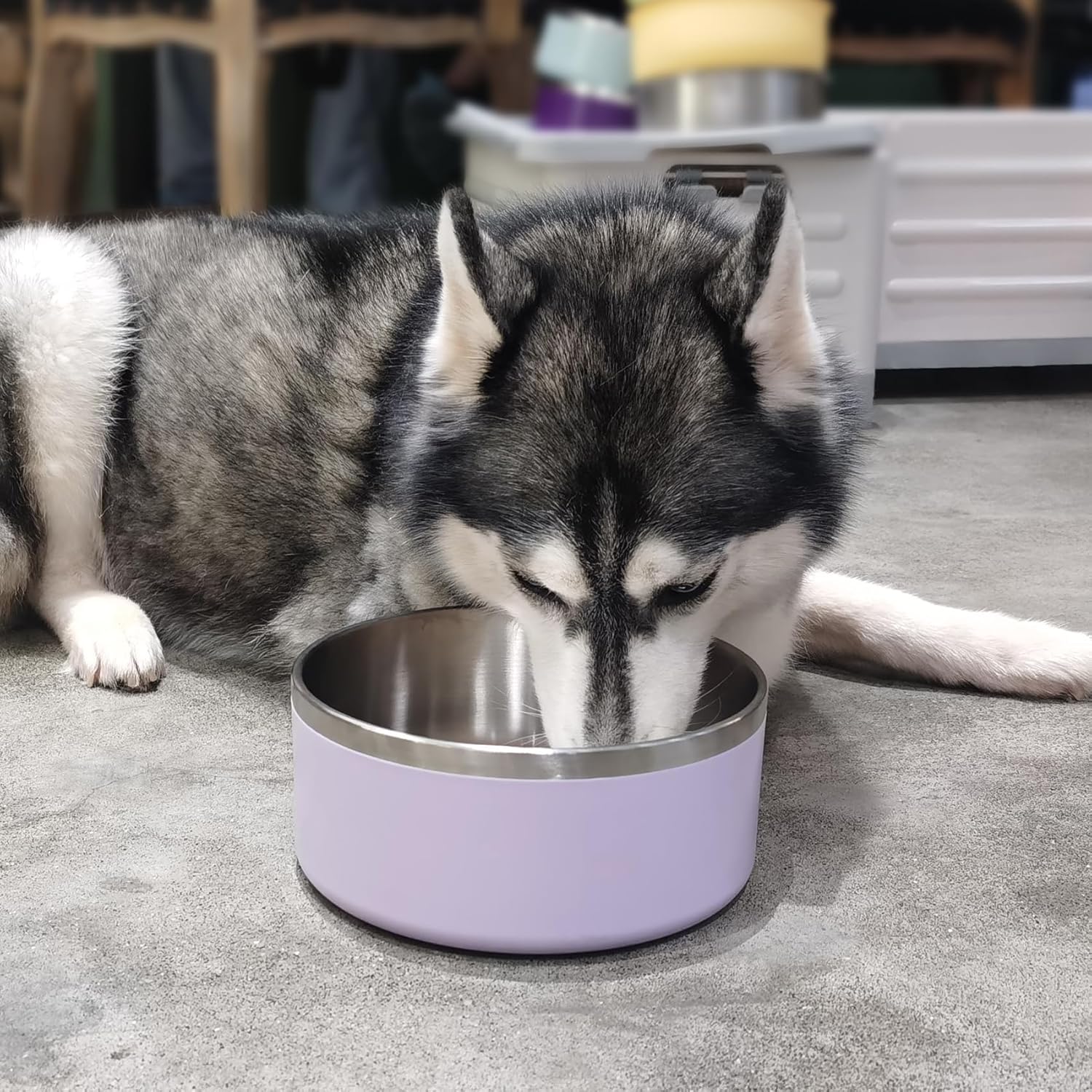Stainless Steel Dog Bowls, Metal Dog Bowls, Water Bowl for Dogs, Dog Food Bowls, Pet Bowls for Dogs, Dog Dish for Large Dogs, Insulated Dog Bowl, Non Slip Dog Bowl,Easy Clean,40oz,LightPurple