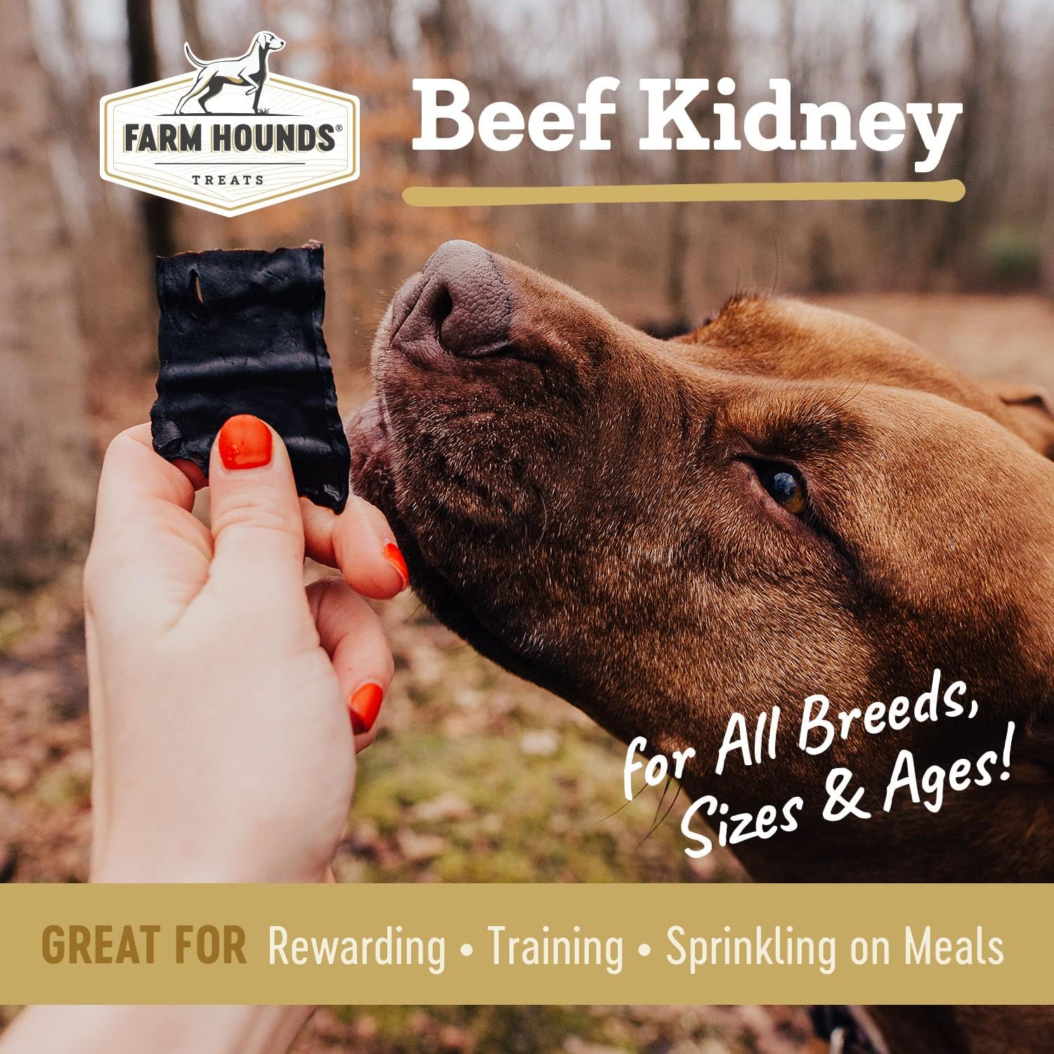 Farm Hounds - Beef Kidney - Premium Natural Beef Kidney Jerky For Dogs - Made From 100% Humanely Raised Cattle - Organ Treat - Great For Training & Treats - No Added Fillers - Made in USA -4oz -1 Pack