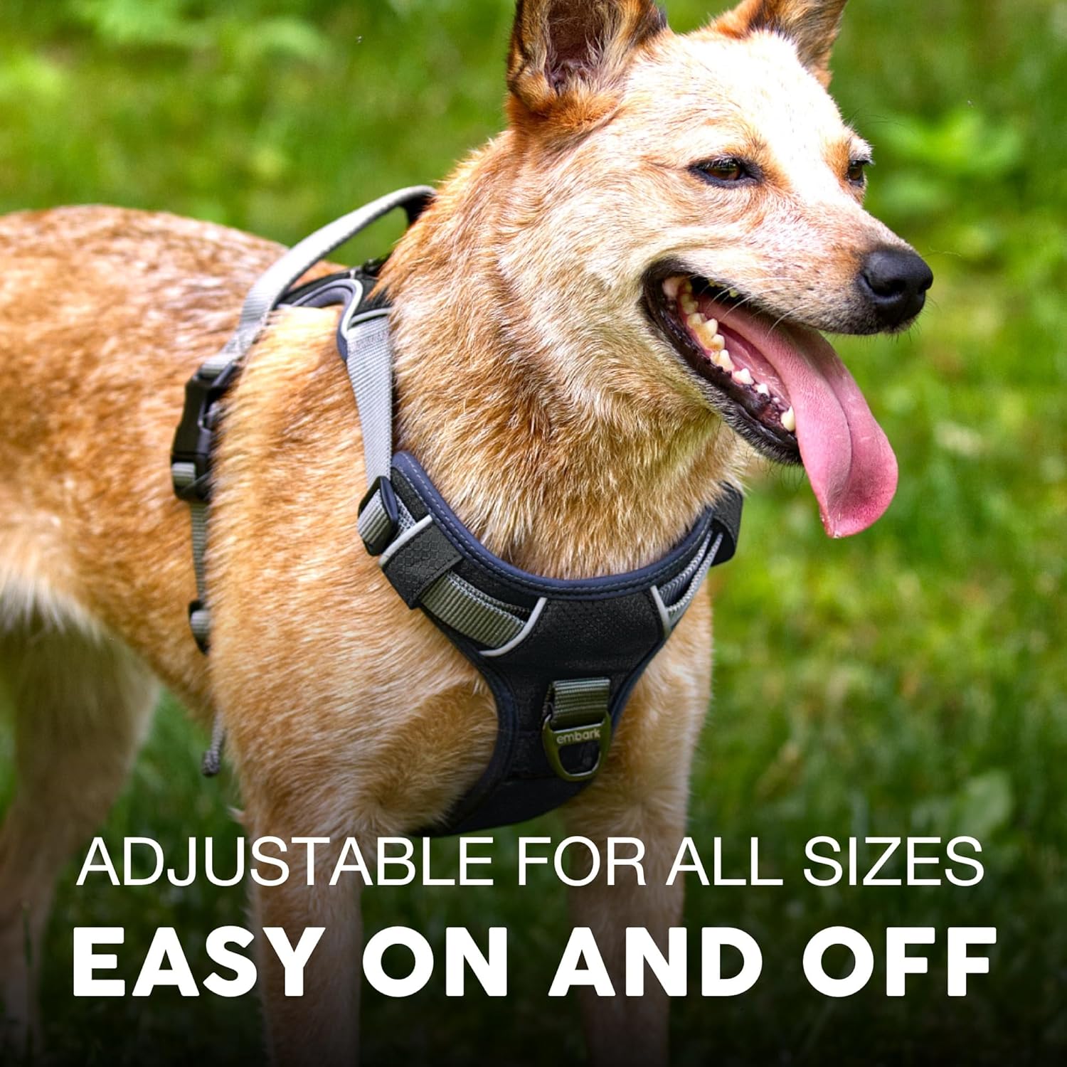 Embark Adventure Dog Harness, Reflective Trim No Pull Dog Harness Medium Sized - Military Grade Nylon, Front Clip with Gel Lined Handle. Soft & Padded Puppy Harnesses for Any Breed