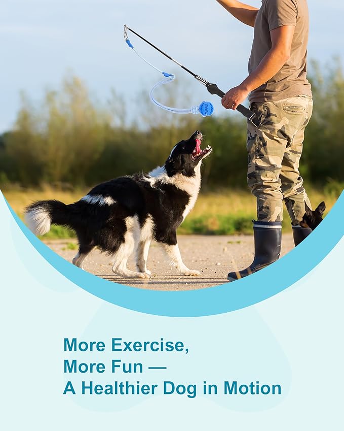 Flirt Pole for Dogs, Durable Dog Flirt Pole for Large Medium & Small Dogs, Interactive Dog Pole Toy with Rubber Ball for Outdoor/Indoor, Training, Chase, Tug of War 24 inch