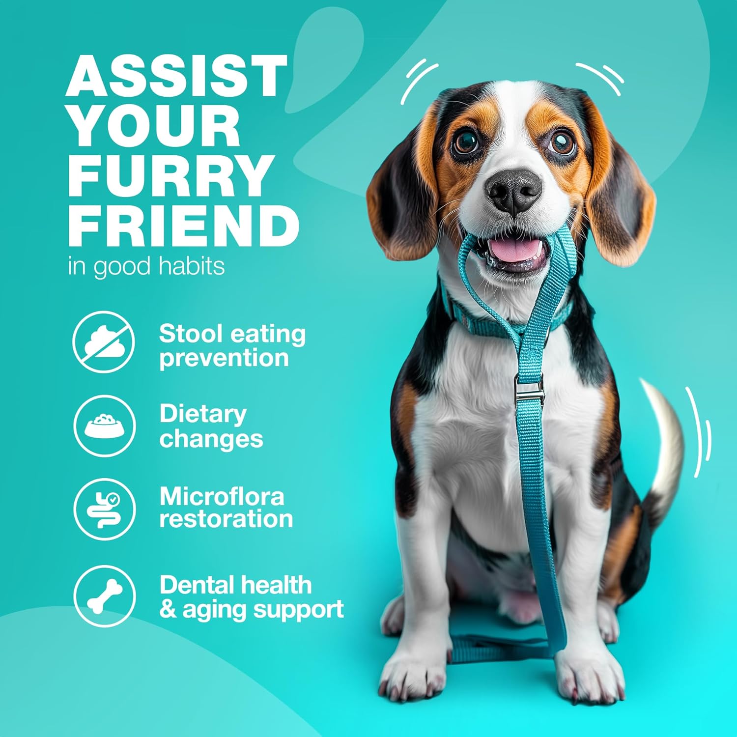 No Poo Chews for Dogs - Coprophagia Deterrent - Dog Probiotics for Digestive Health with Enzymes - Canine Stool Eating Deterrent - Digestive, Dental, Gut & Immune Health Treats - No Poop Eating