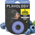Playology Dog Toys | Dual Layer Ring Durable Chew Toy for Aggressive Chewers | Small Blueberry Scented Toy - Easy to Clean and Made from Non Toxic Materials