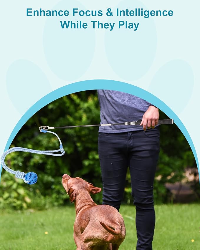 Flirt Pole for Dogs, Durable Dog Flirt Pole for Large Medium & Small Dogs, Interactive Dog Pole Toy with Rubber Ball for Outdoor/Indoor, Training, Chase, Tug of War 31 inch