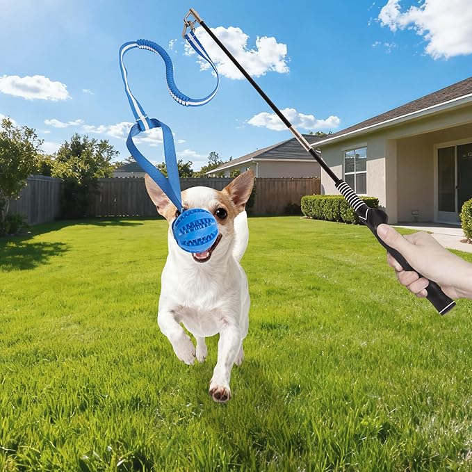 Flirt Pole for Dogs, Durable Dog Flirt Pole for Large Medium & Small Dogs, Interactive Dog Pole Toy with Rubber Ball for Outdoor/Indoor, Training, Chase, Tug of War 24 inch