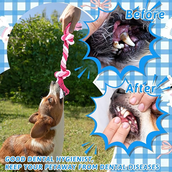 48 Pcs Dog Rope Toys Bulk, 100% Cotton Rope Dog Toys for Aggressive Chewers Durable Puppy Tug of War Toy with Knot, Interactive Puppy Toy for Small & Medium Pet Teething, Teeth Cleaning - 6 Colors