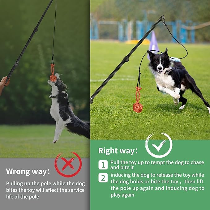 Flirt Pole for Dogs, Interactive Toys Tug-of-war for Pet, Durable Teaser Wand, Chase Toys with Rope Chewing Sticks, for Outdoor Exercise & Training
