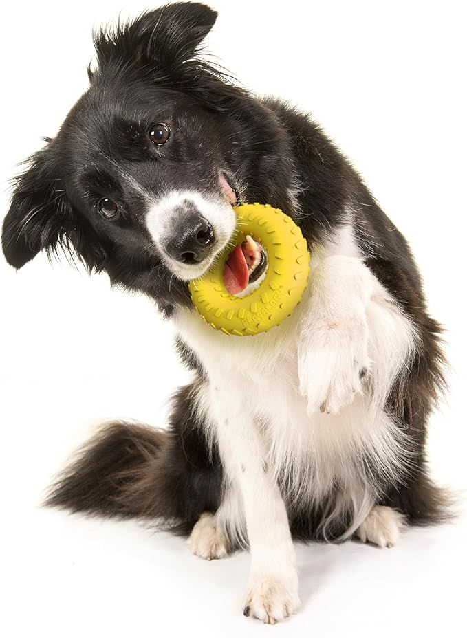 Playology Dog Toys | Dual Layer Ring Durable Chew Toy for Aggressive Chewers | Medium Chicken Scented Toy - Easy to Clean and Made from Non Toxic Materials