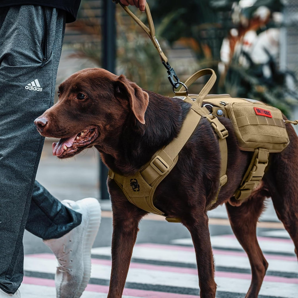 OneTigris Service Dog Vest Harness, Service Dog Cape Guardian Dog Backpack Harness with Pouches Dog Saddle Bag for Small Medium and Large Dogs (Brown, M)