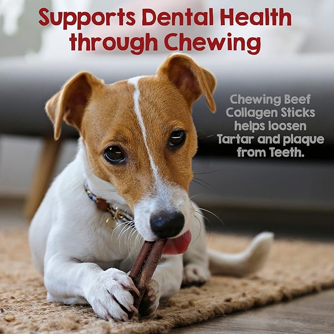 Riley's 12 Inch Beef Collagen Sticks for Dogs, Collagen Chews for Dogs, Bully Stick & Rawhide Alternative, Long Lasting, No Raw Hide Chews, Single Ingredient Dog Treat - 5 ct