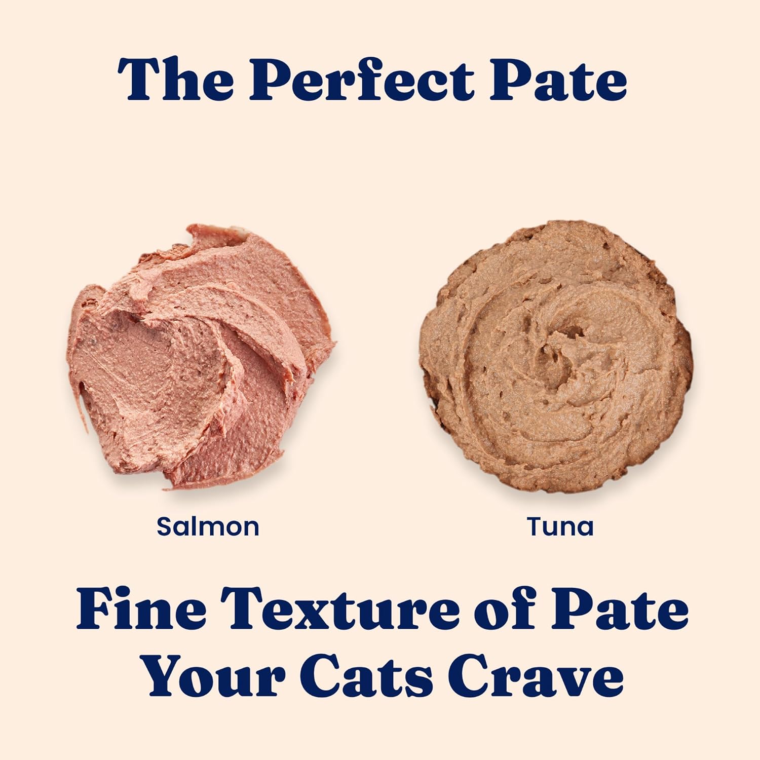 Solid Gold Wet Cat Food Pate in Coconut Oil - Healthy Canned Cat Food Pate w/Real Salmon, Omega Fatty Acids, Vitamins & Minerals - Grain Free & Gluten Free Canned Meals for Cats & Kittens - 24ct/3oz