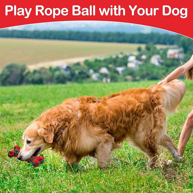 18 Pcs Christmas Dog Rope Toys Set Christmas Interactive Chew Balls Toys for Aggressive Chewers Large Medium Small Dogs Pet Puppy Teeth Cleaning Fun Training Birthday Gifts