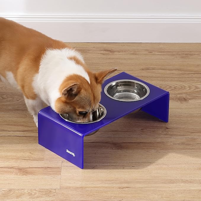 The LICKER Store DBL2000F Keaton 5" Small/Medium Modern Acrylic Rectangular Elevated Pet Feeder with 20oz 2-Stainless Steel Bowls, Purple/Chrome