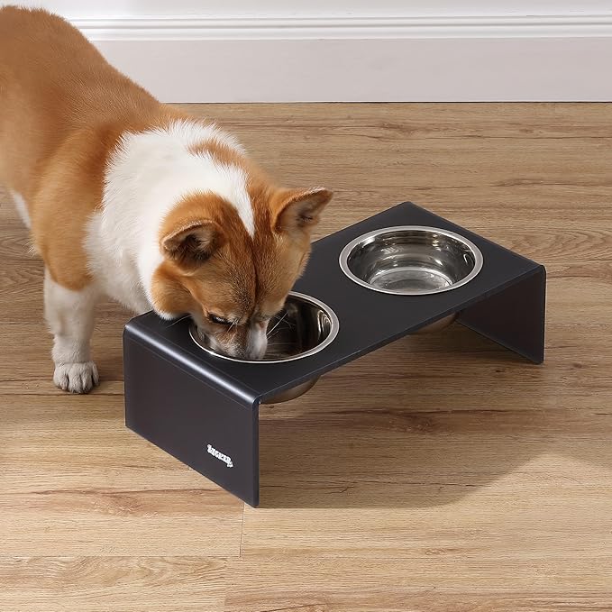The LICKER Store DBL2000J Keaton 5" Small/Medium Modern Acrylic Rectangular Elevated Pet Feeder with 20oz 2-Stainless Steel Bowls, Dark Gray/Chrome