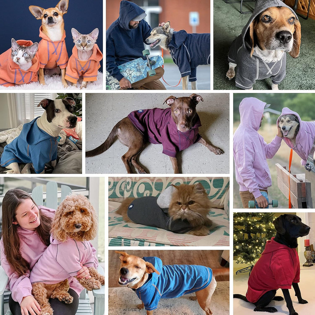 Blueberry Pet Dog Hoodie – 18″ Soft Cotton‑Blend Sweatshirt with Hood, Award‑Winning Small‑Dog Jacket, Machine‑Washable