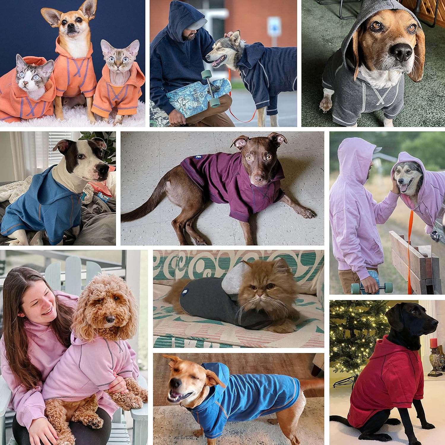 Blueberry Pet Essentials Soft & Comfy Better Basic Cotton Blend Dog Hoodie Sweatshirt in Red, Back Length 22", Pack of 1 Jacket for Dogs