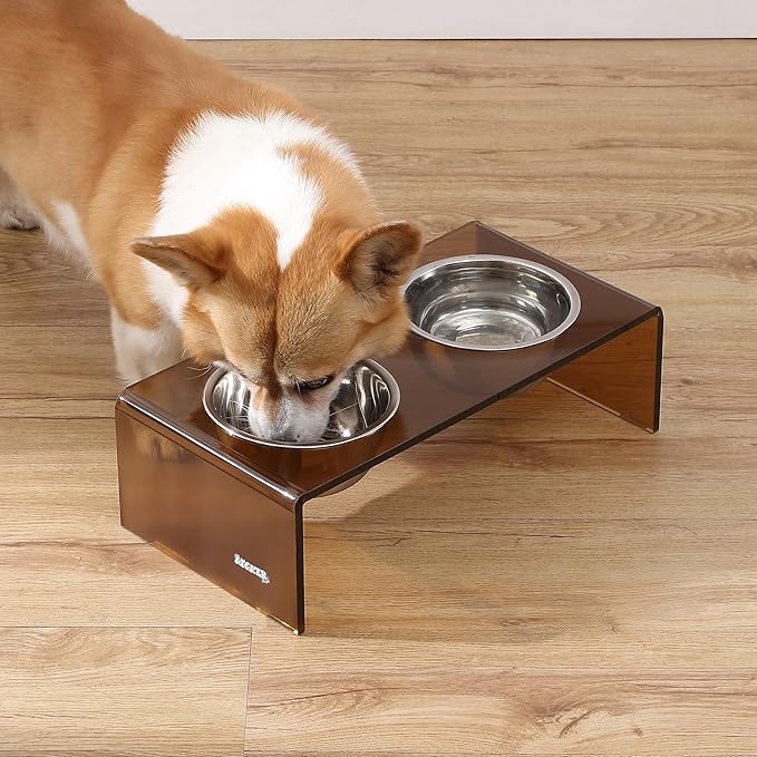 The LICKER Store DBL2000D Keaton 5" Small/Medium Modern Acrylic Rectangular Elevated Pet Feeder with 20oz 2-Stainless Steel Bowls, Amber/Chrome