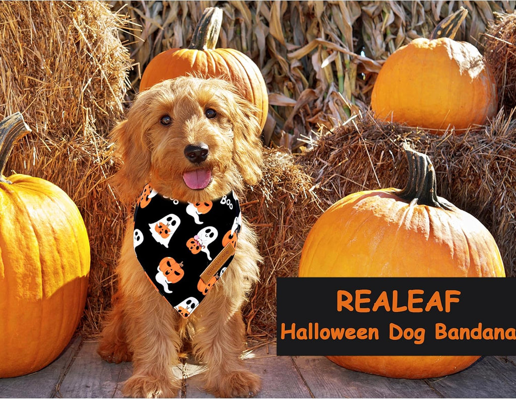 Realeaf Halloween Dog Bandanas 2 Pack, Reversible Orange Pumpkin Pet Scarf for Boy and Girl, Premium Durable Fabric, Holiday Bandana for Small Medium Large and Extra Large Dogs (X-Large)