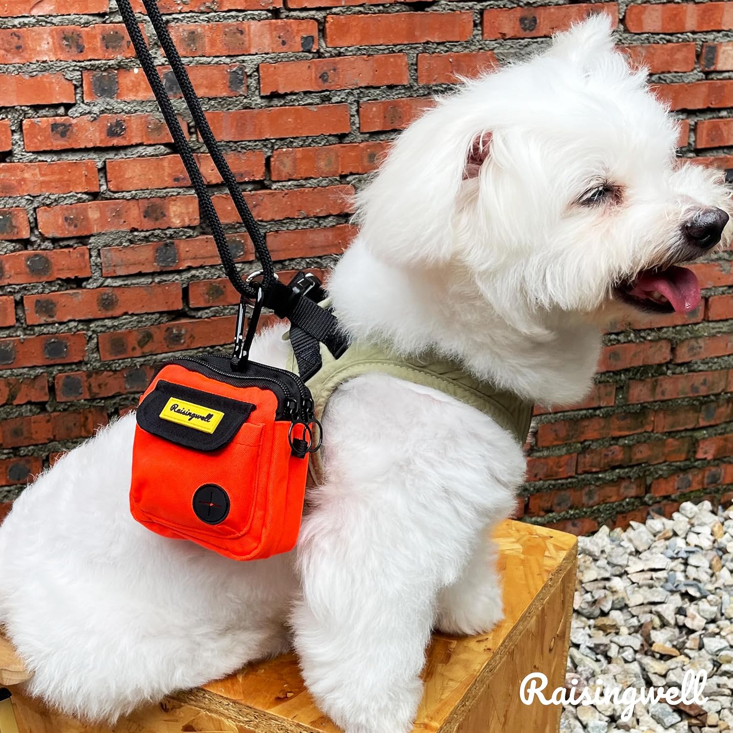 Dog Treat Pouch for Pet Walking and Training with Clicker Poop Bags, and Three Bags Design Small Fanny Zipper Pack Holder for Puppy Snack Dispenser Kit for Leash and Outdoor Use (Orange)