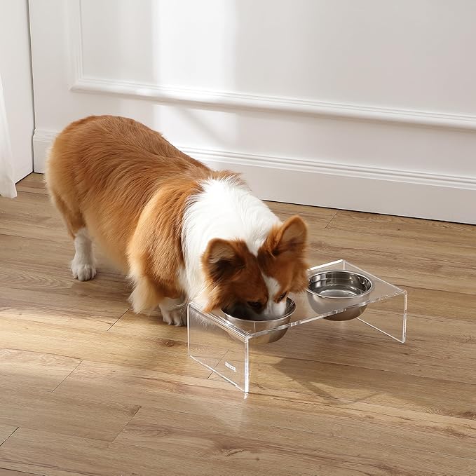 The LICKER Store DBL2000A Keaton 5" Small/Medium Modern Lucite Rectangular Elevated Pet Feeder with 20oz 2-Stainless Steel Bowls, Clear/Chrome