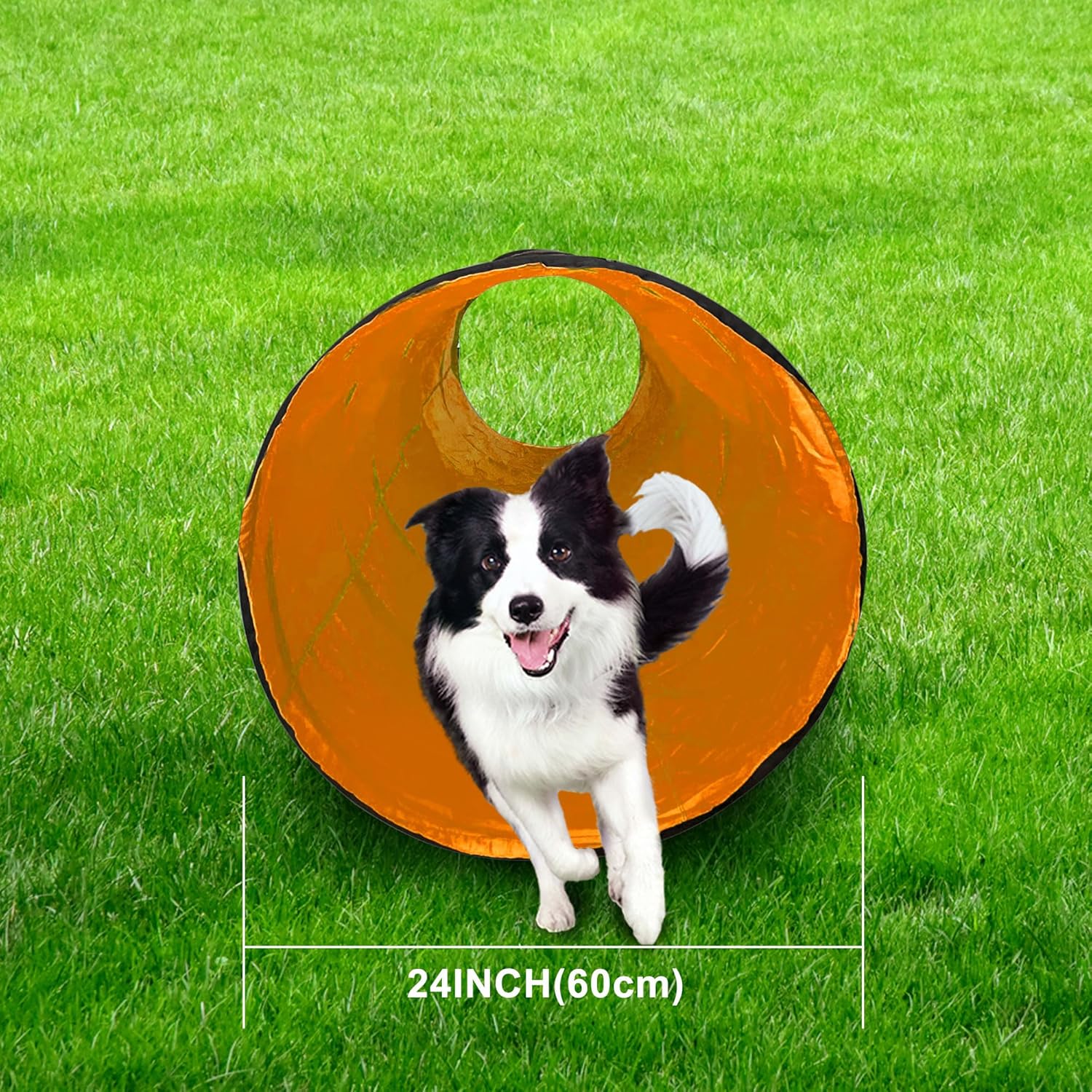 Dog Agility Tunnel, Dog Agility Equipment, Dog Agility Training with Carry Bag (Orange)