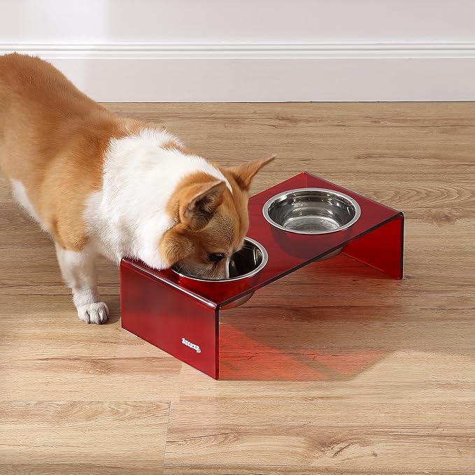 The LICKER Store DBL2000H Keaton 5" Small/Medium Modern Acrylic Rectangular Elevated Pet Feeder with 20oz 2-Stainless Steel Bowls, Red/Chrome