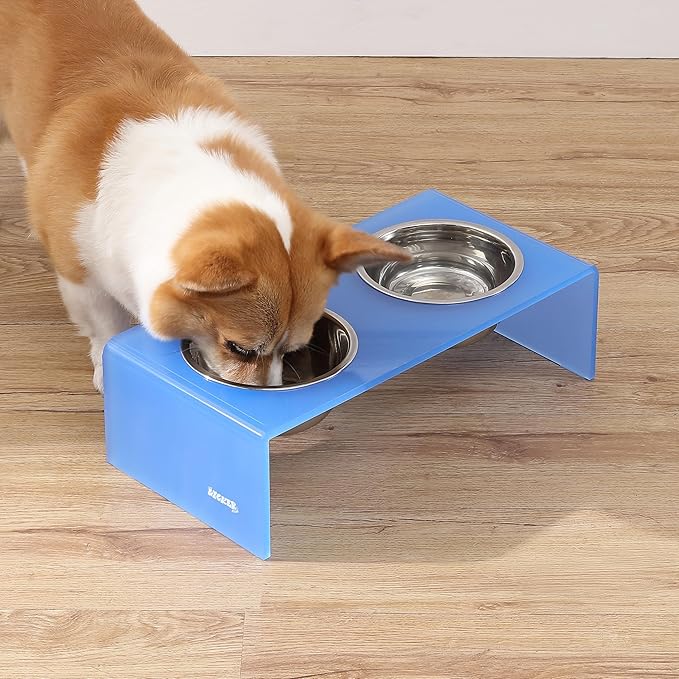 The LICKER Store DBL2000C Keaton 5" Small/Medium Modern Acrylic Rectangular Elevated Pet Feeder with 20oz 2-Stainless Steel Bowls, Blue/Chrome