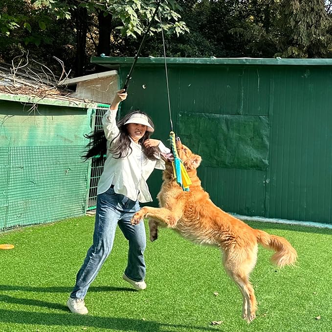 Flirt Pole for Dogs, Interactive Toys Tug-of-war for Dogs, Five-Section Retractable Adjustable Length,for Outdoor Exercise & Training for Small Medium Large Dog