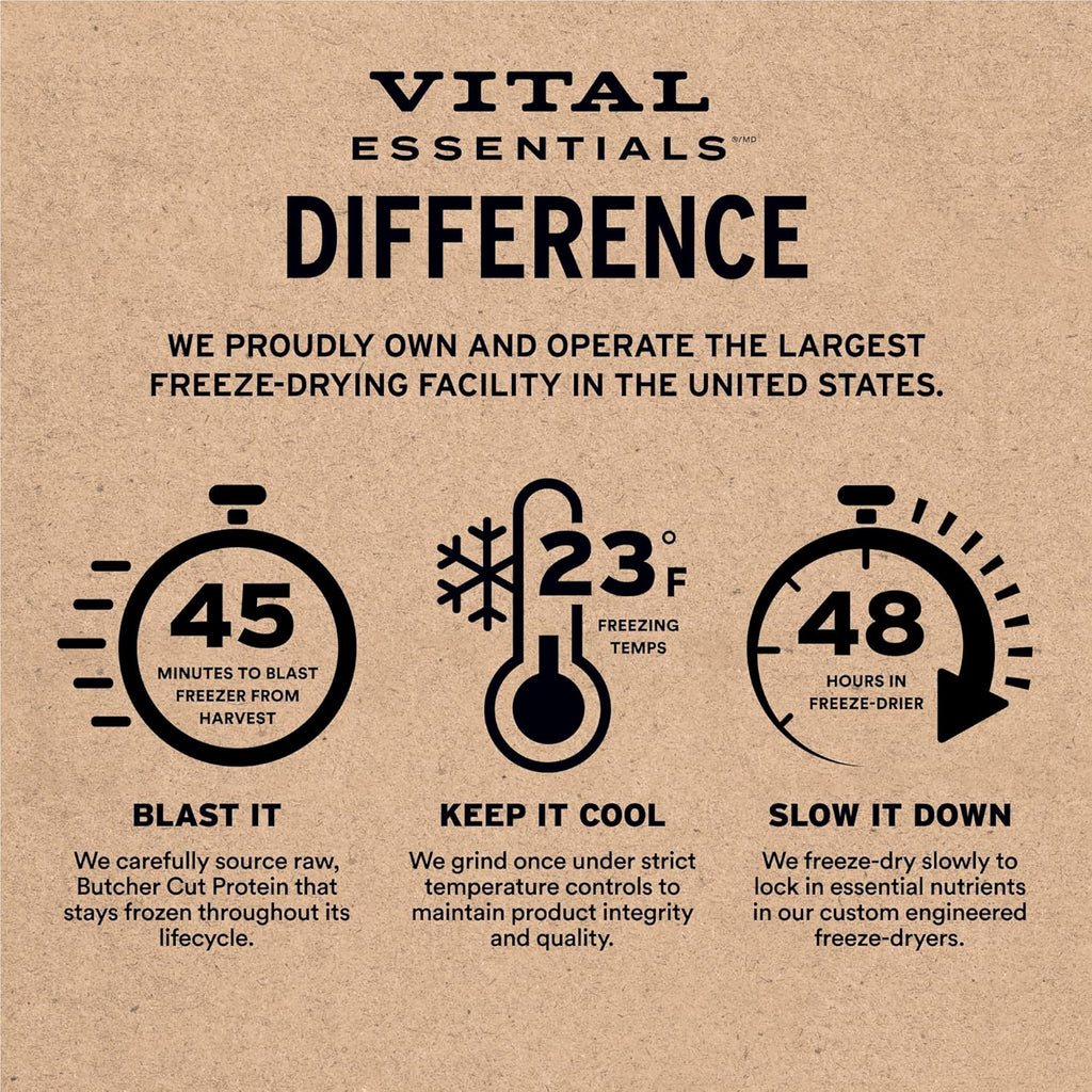 Vital Essentials Salmon Bites Dog Treats, 2.5 oz | Freeze-Dried Raw | Single Protein | Premium Quality High Protein Training Treats | Grain Free, Gluten Free, Filler Free