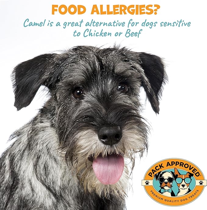 Camel Skin Dog Chews for Aggressive Chewers - Hypoallergenic Natural Collagen Sticks for Dental Health & Protein Boost - Long Lasting Treats for Small & Medium Dogs