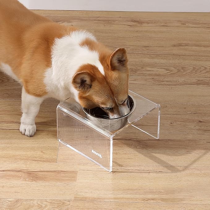 The LICKER Store DBL2002A Keaton 5" Small/Medium Modern Acrylic Rectangular Elevated Pet Feeder with 20oz 1-Stainless Steel Bowl, Clear/Chrome