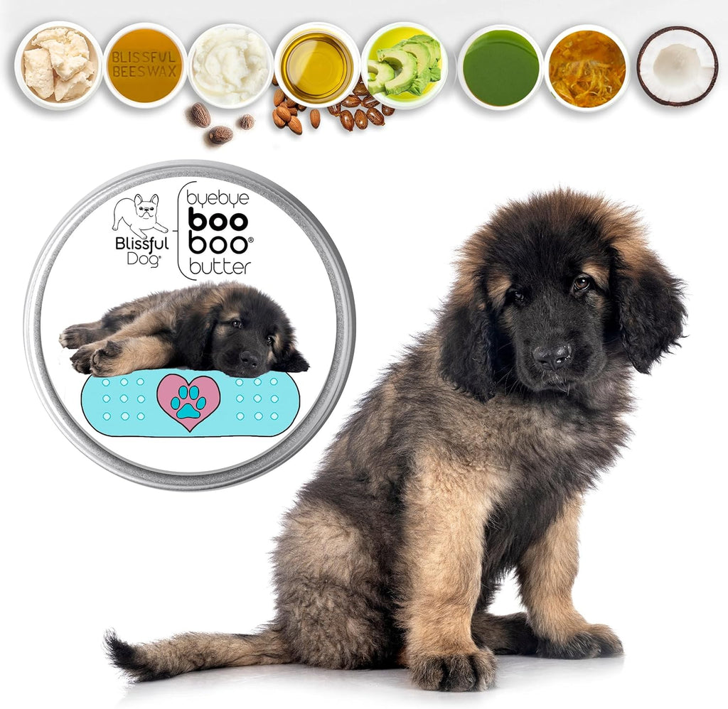 The Blissful Dog Leonberger Boo Boo Butter, 4-Ounce