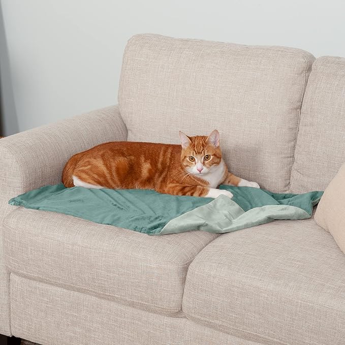 Furhaven Waterproof Throw Blanket for Dogs & Indoor Cats, Washable - Two-Tone Luxe Velvet Dog Blanket - Celadon Green, Small