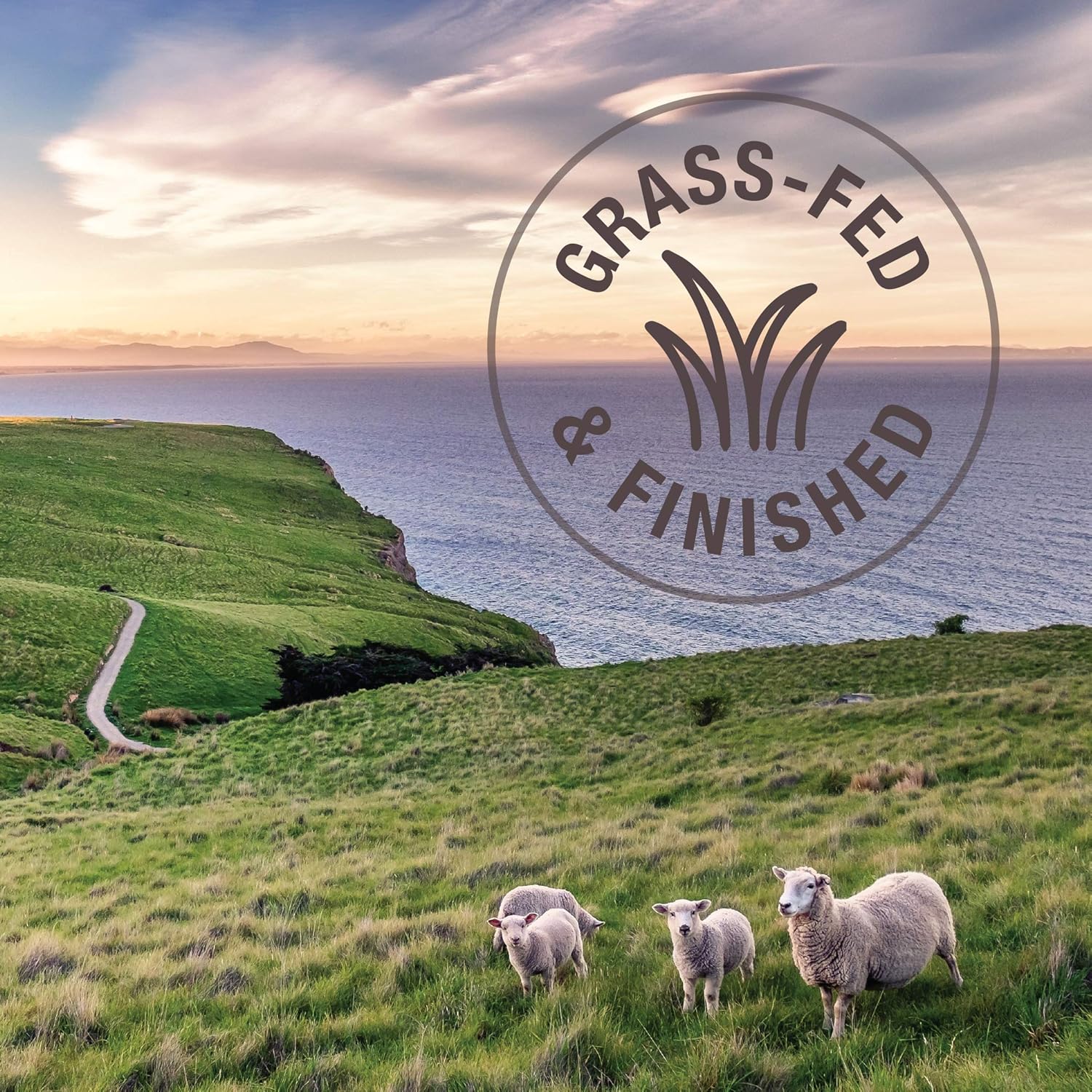 K9 Natural - Grain Free Freeze Dried Dog Food - Beef, 8lb