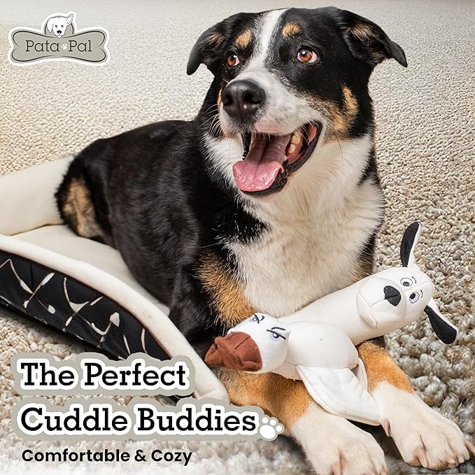 2pc Sustainable Eco-Friendly Durable Cotton Canvas Squeaky Dog Chew Toy Set – Ducky & Dawgy, White (Safe for Pets/Kids)