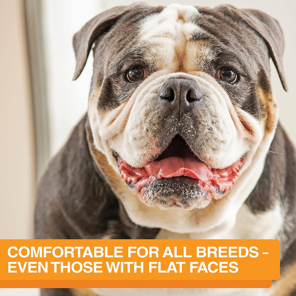 Neater Feeder Express Mess Proof Dog Bowls Elevated for Medium and Large Breed – Made in USA – No Spill Raised Slow Feeder Elevated Dog Bowl Stand, Slow Feed Food and Water Bowl Set, Almond