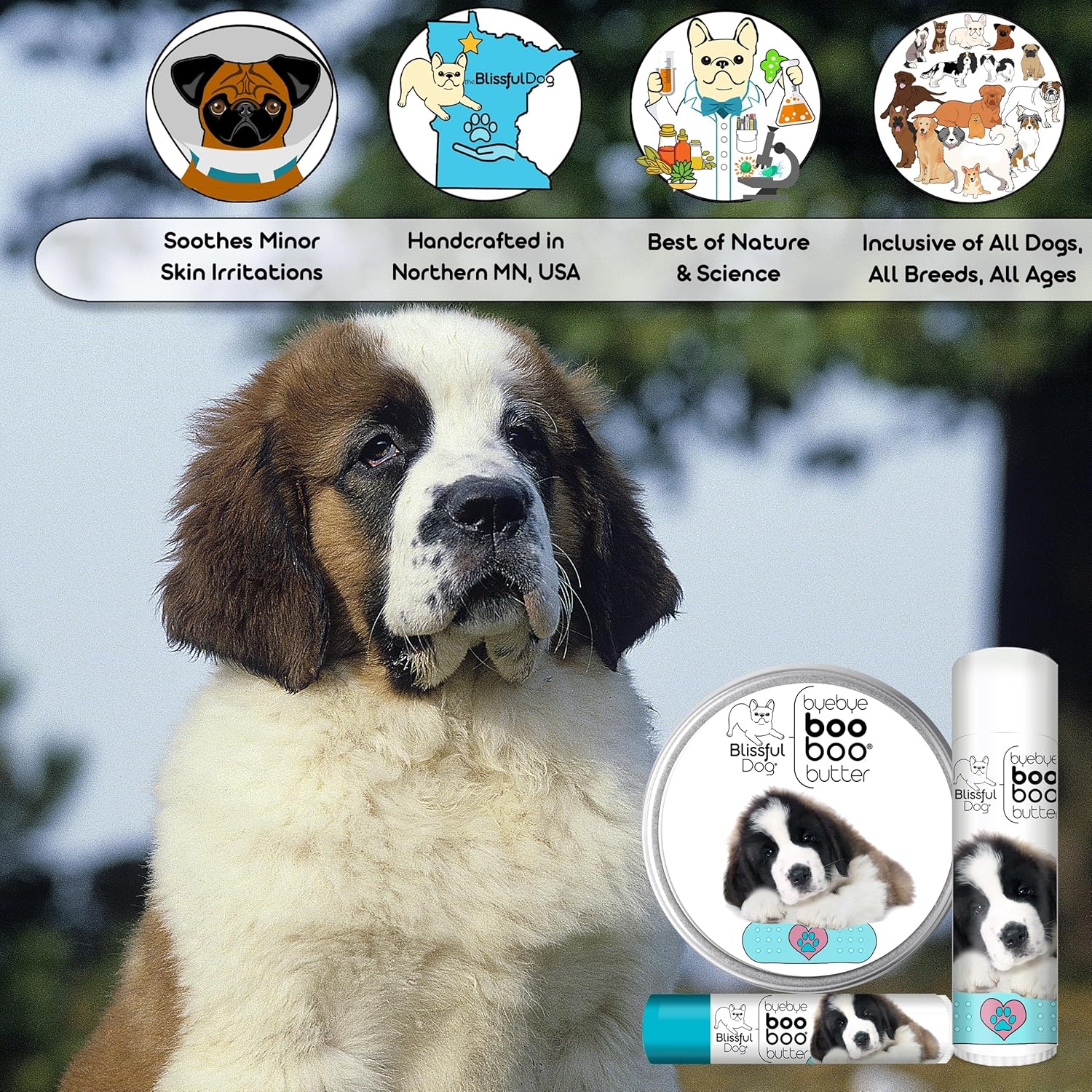 The Blissful Dog 8 oz TIN St. Bernard Booboo Butter