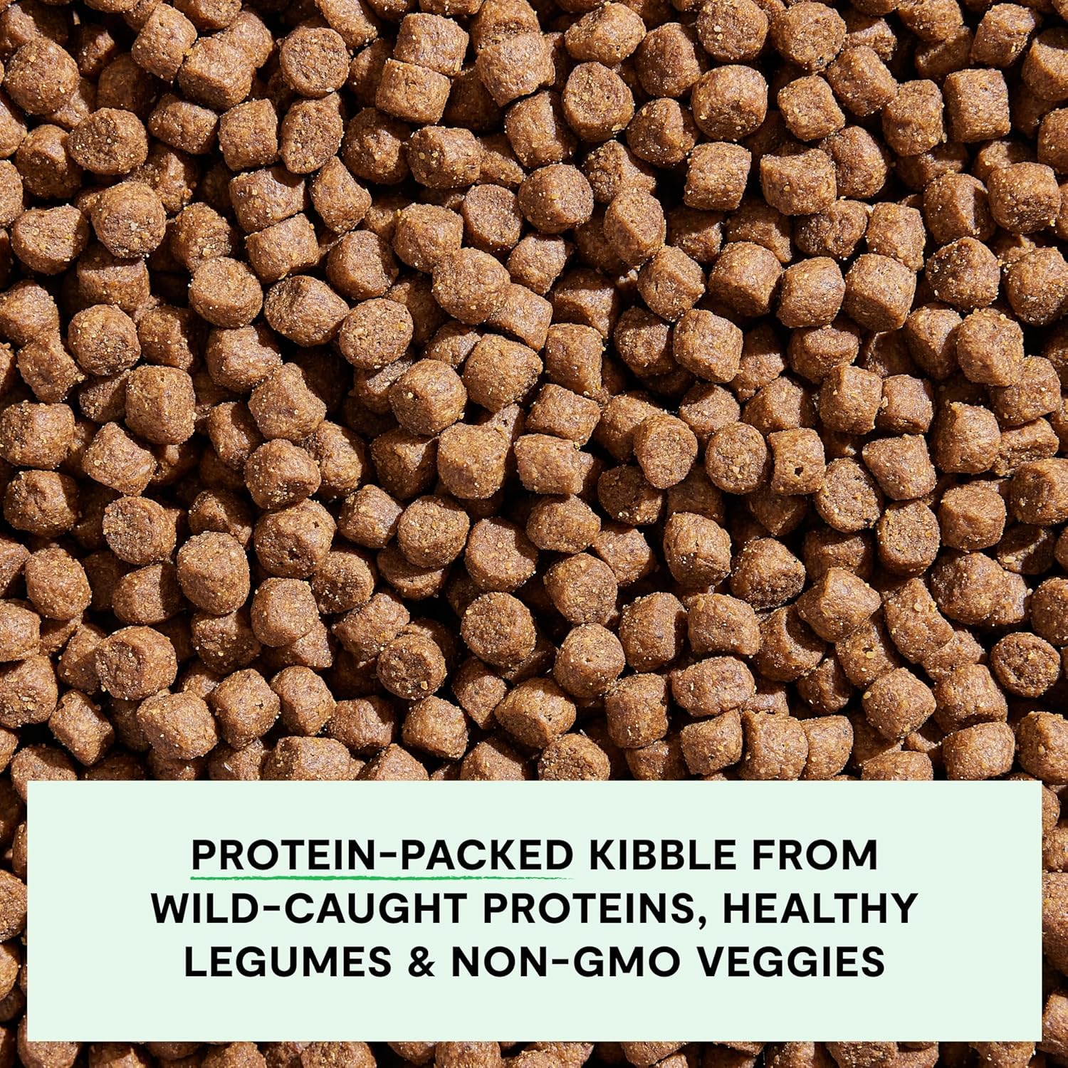 Open Farm, Grain-Free Dry Dog Food, Complete & Balanced Kibble, Sustainably & Ethically Sourced Ingredients, Non-GMO Veggies & Superfoods, Catch-of-The-Season Whitefish Recipe, 11lb Bag