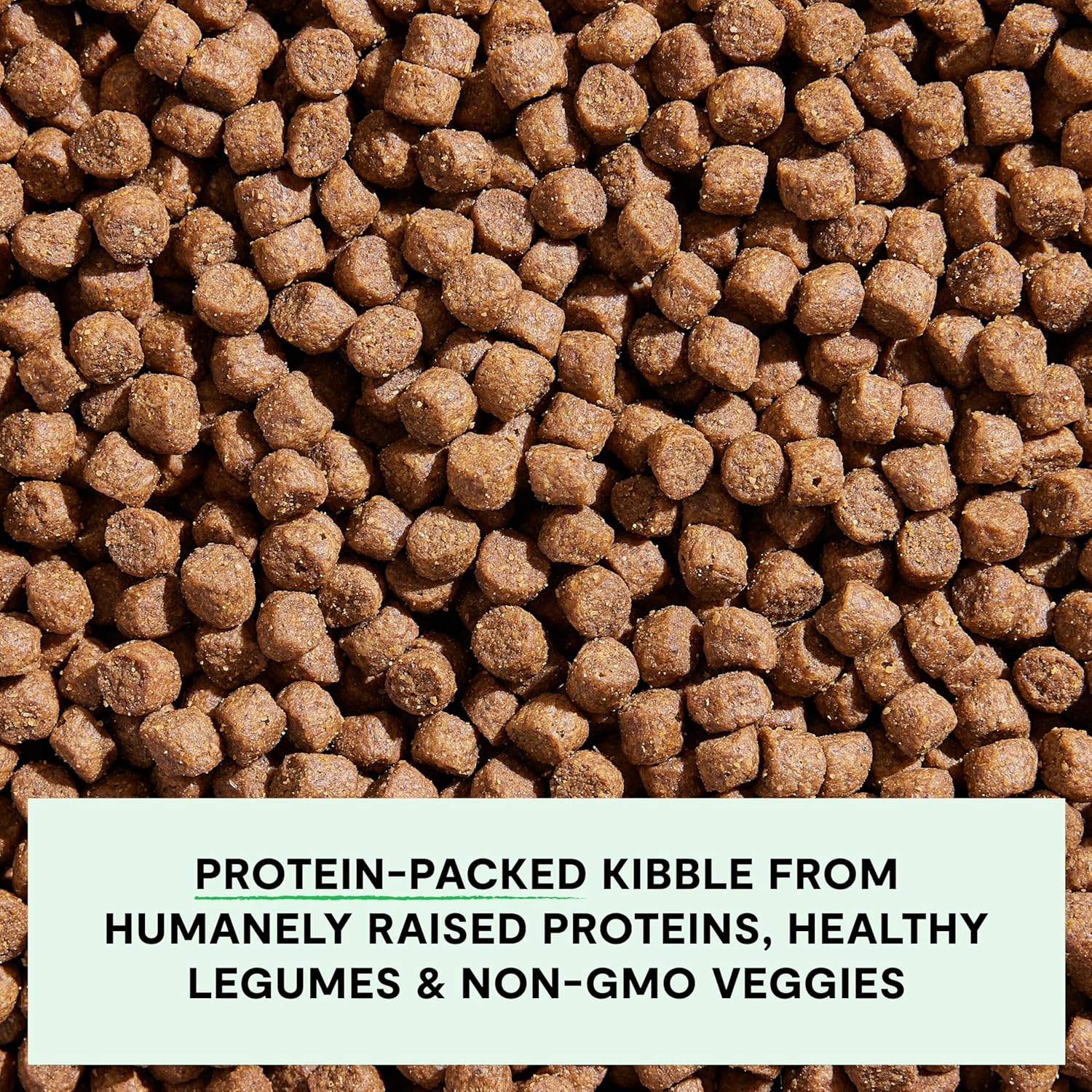Open Farm, Grain-Free Dry Dog Food, Complete & Balanced Kibble, Sustainably & Ethically Sourced Ingredients, Non-GMO Veggies & Superfoods to Support Overall Health, Pork Recipe, 22lb Bag